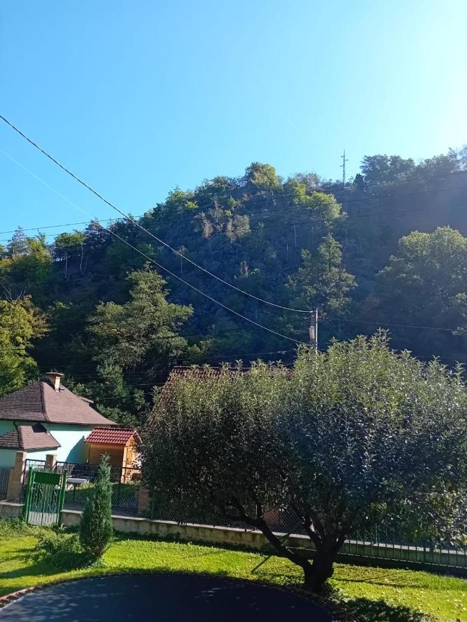 Rekreacni Chata Kocaba Stechowitz Exterior foto