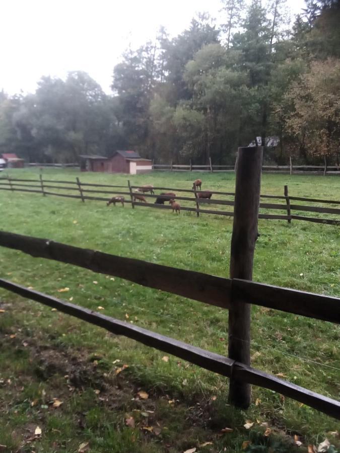 Rekreacni Chata Kocaba Stechowitz Exterior foto